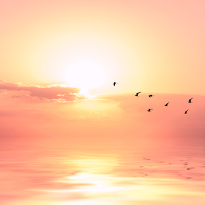 欢乐谷欢乐谷鸡巴操逼白虎
